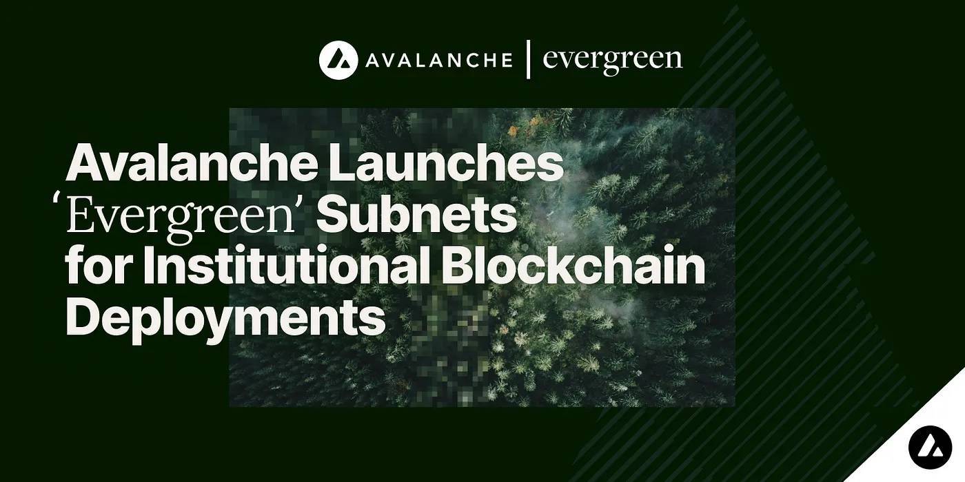 Avalanche Xây Dựng Subnet Evergreen Dành Cho Các Tổ Chức Tài Chính