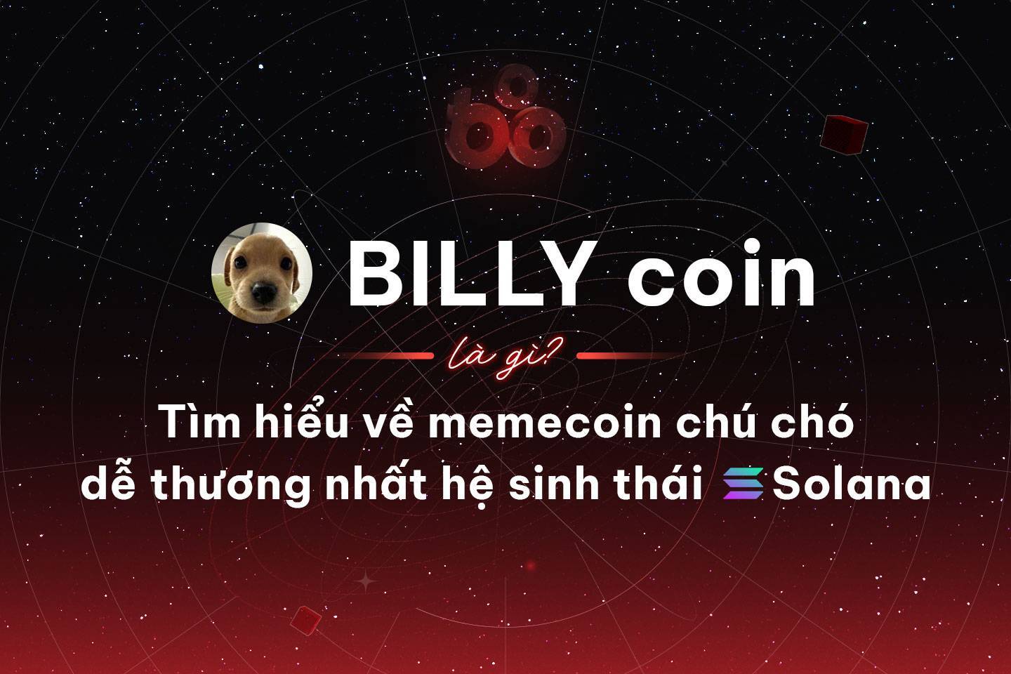 Billy Coin Là Gì Tìm Hiểu Về Memecoin Chú Chó Dễ Thương Nhất Hệ Sinh Thái Solana