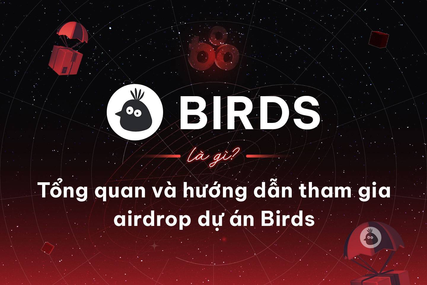 Birds Là Gì Tổng Quan Và Hướng Dẫn Tham Gia Airdrop Dự Án Birds