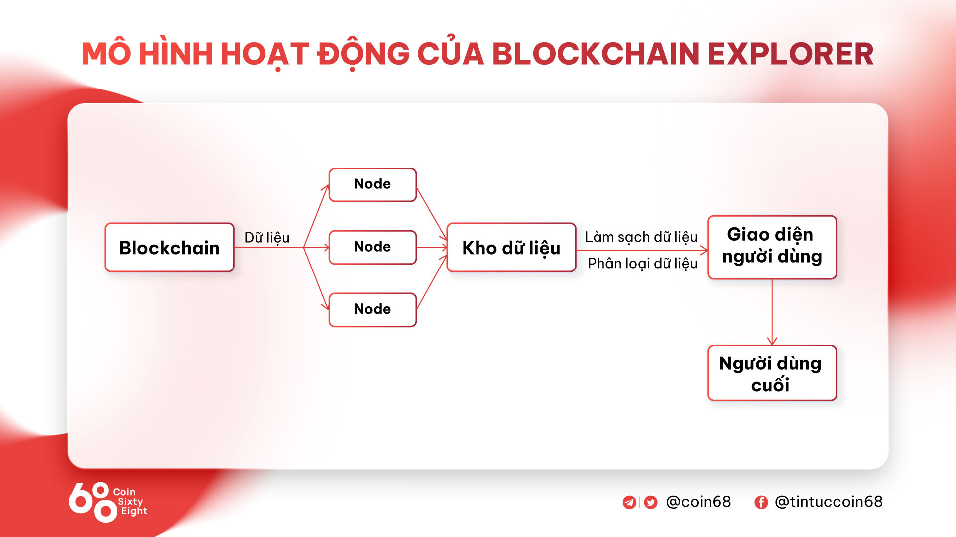 Blockchain Explorer Là Gì Top Các Blockchain Explorer Hàng Đầu