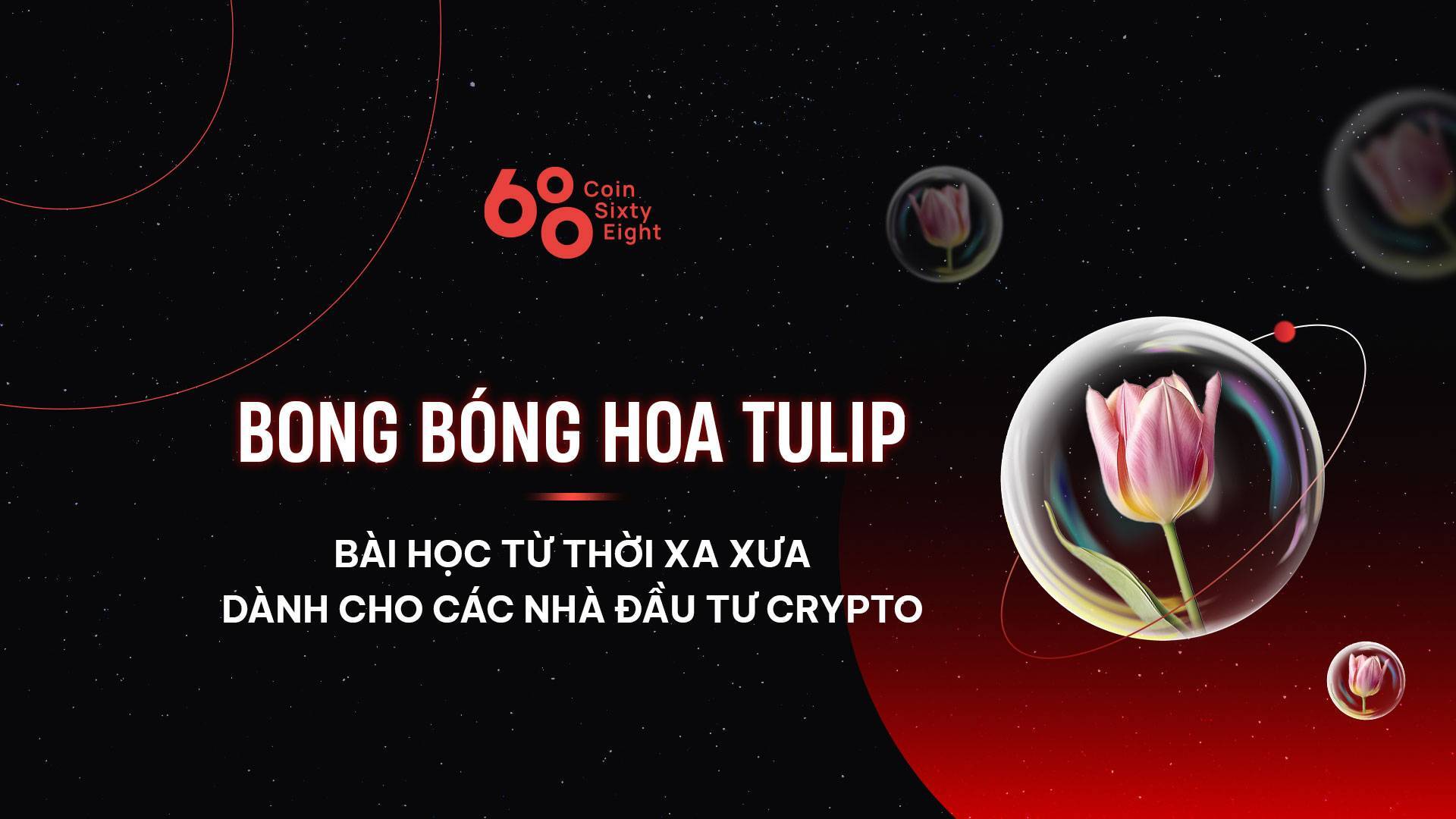 Bong Bóng Hoa Tulip Bài Học Từ Thời Xa Xưa Dành Cho Các Nhà Đầu Tư Crypto