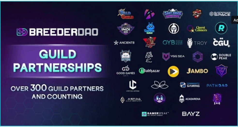 Breederdao Tiếp Tục Thiết Lập Quan Hệ Đối Tác Với Hơn 300 Gaming Guild