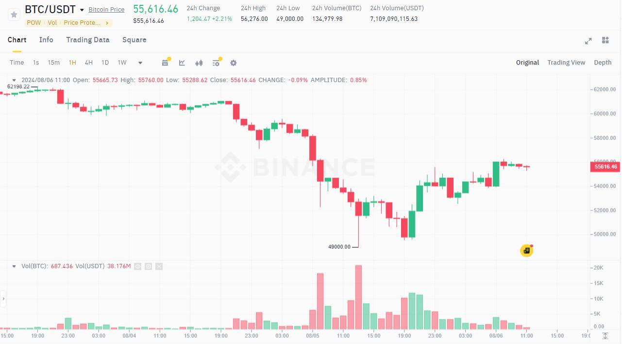 Btc Hồi Phục Lên 56000 Usd Dù Etf Bitcoin Bán Ròng - Thị Trường Đã Có Thể thở Phào