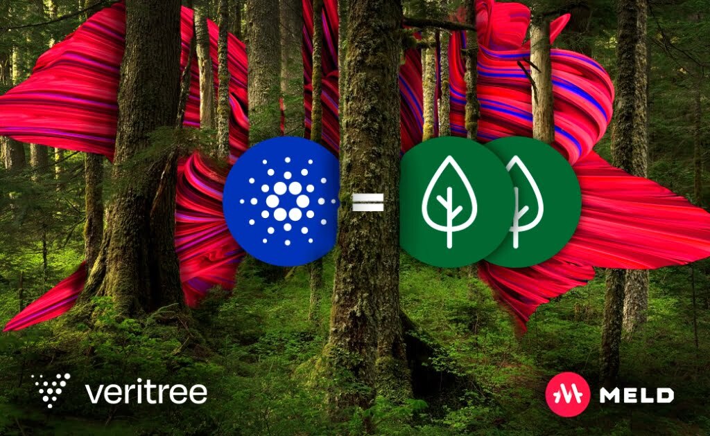 Cardano (ADA) hoàn thành trồng 1 triệu cây xanh, tiến đến blockchain thân thiện với môi trường