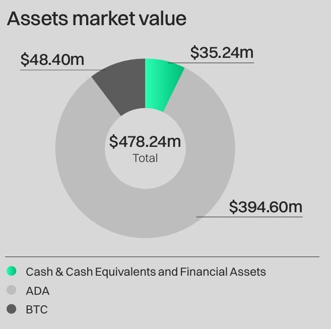 Cardano Phát Hành Báo Cáo Tài Chính Đầu Tiên Kết Thúc Năm 2023 Với Gần 500 Triệu Usd Tài Sản