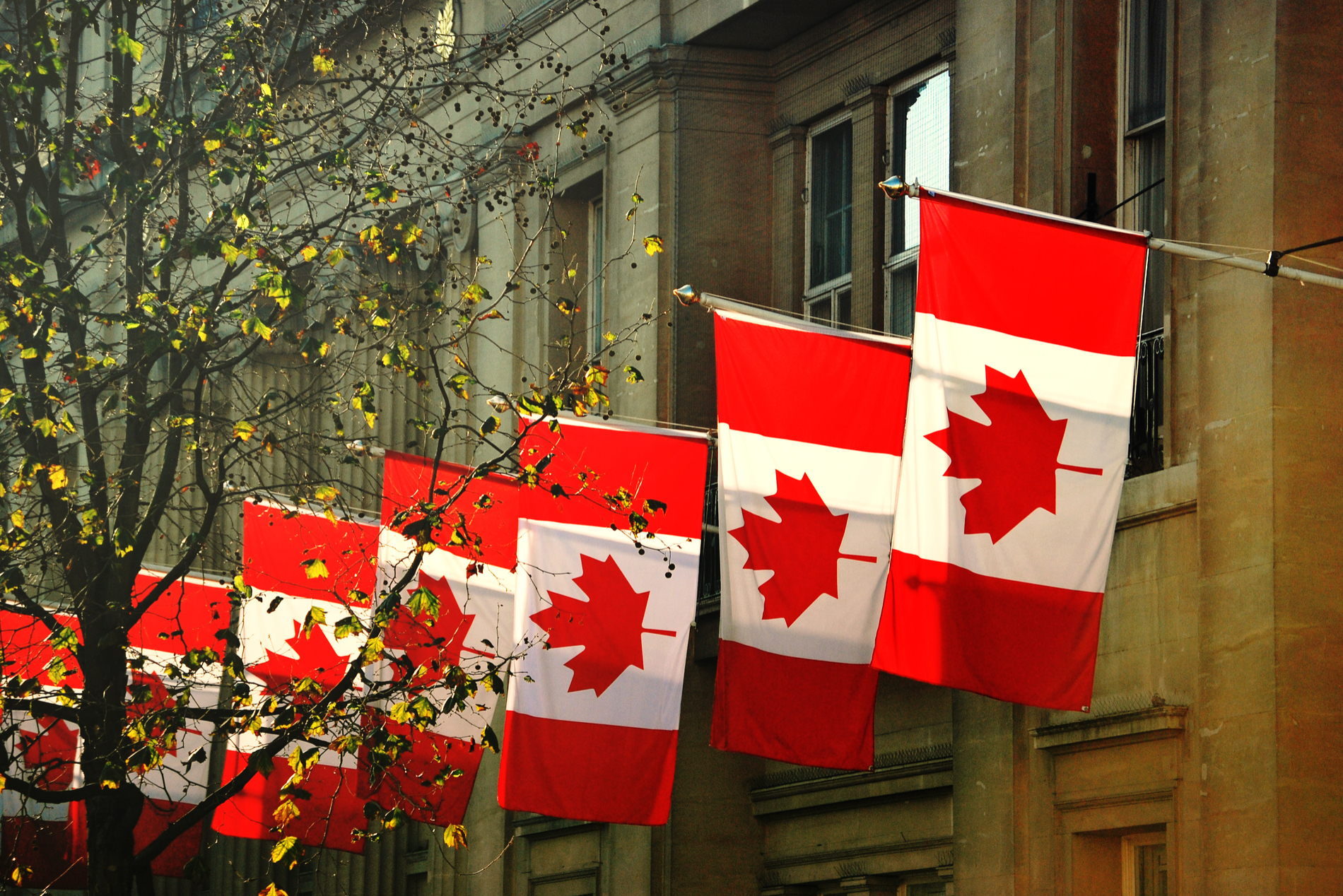 Cơ quan quản lý Canada phạt Bybit và Kucoin vì vi phạm luật chứng khoán