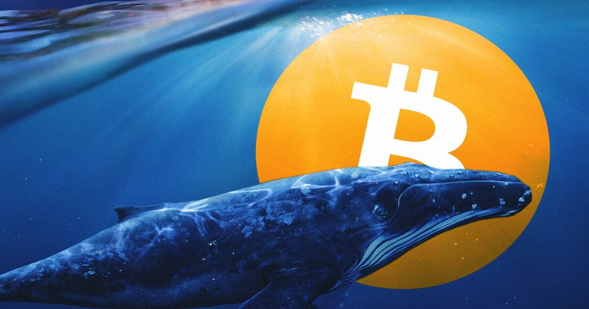 Cuộc chiến cá voi Bitcoin đang rất quyết liệt, ví lớn thứ 3 mua 137 triệu USD BTC chỉ trong 1 ngày