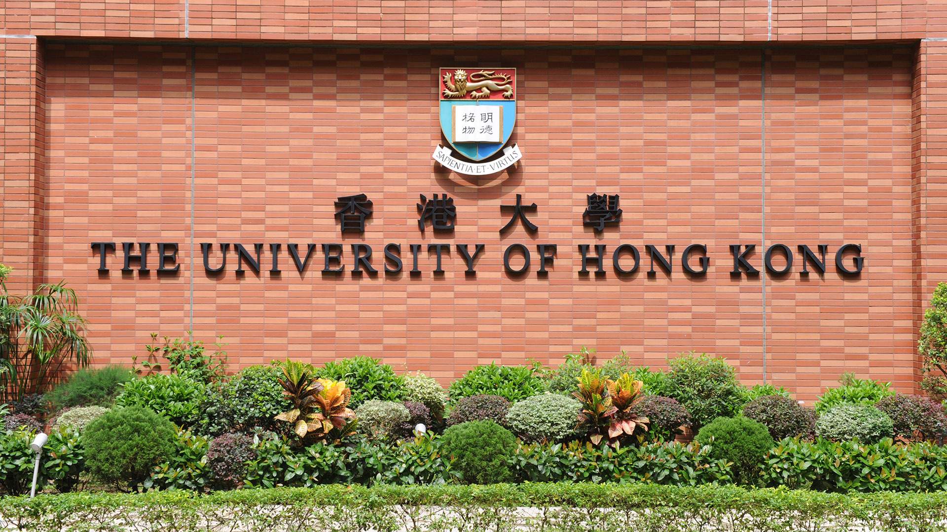 Đại Học Hong Kong Ra Mắt Chương Trình Học Về Blockchain