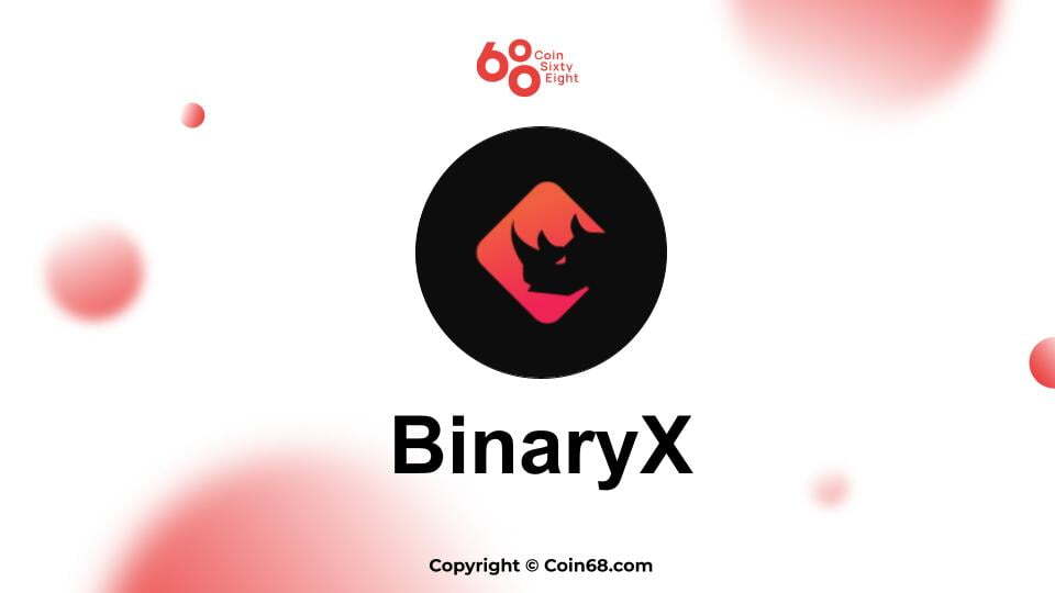 dự án BinaryX