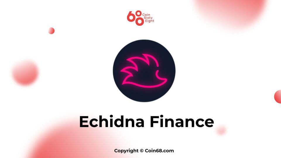 Echidna Finance