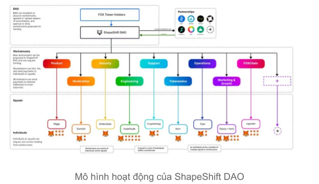 Mô hình hoạt động của ShapeShift DAO