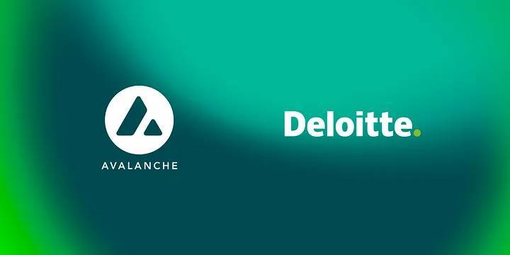 Điểm Danh Các Subnet Nổi Bật Của Avalanche