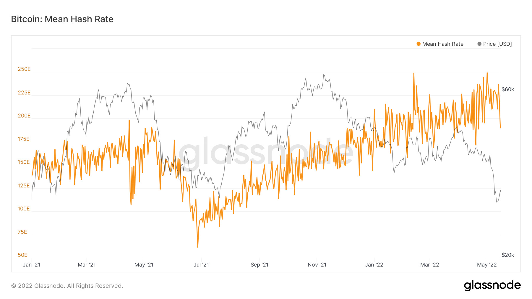 Biến động của chỉ số hashrate Bitcoin trong một năm qua. Nguồn: Glassnode