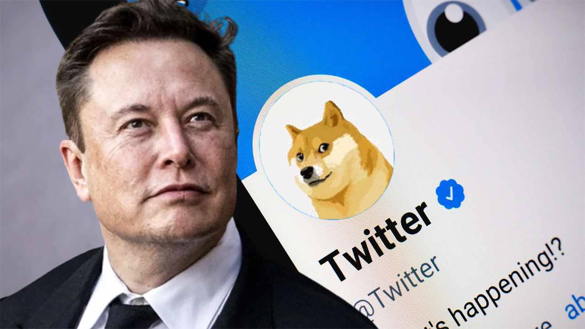 Dogecoin doge Tăng Vọt Nhờ chi Tiết Nhỏ Này Bởi Elon Musk