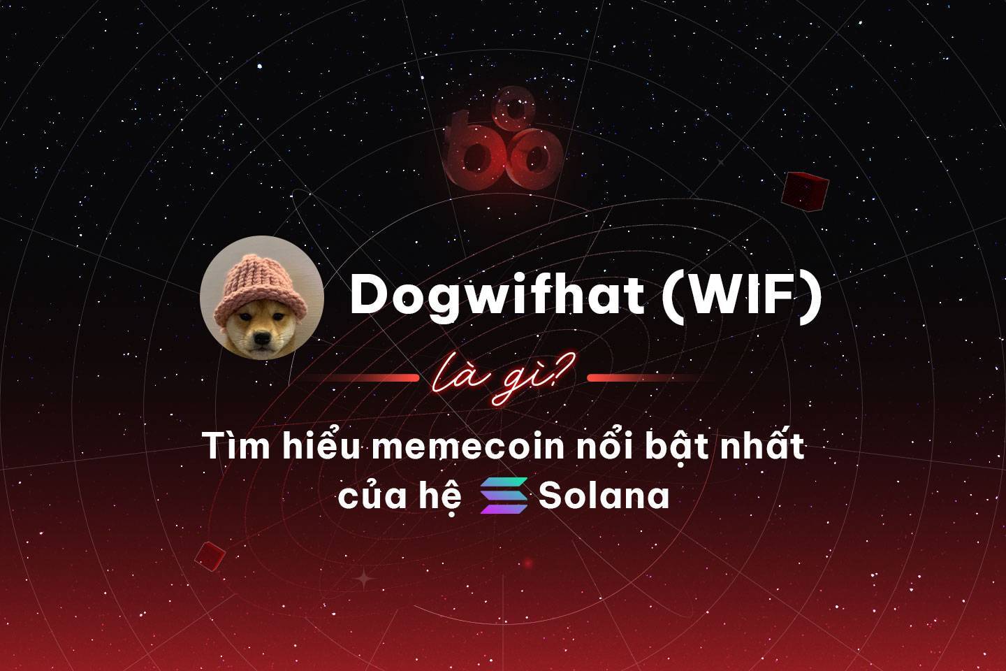 Dogwifhat wif Là Gì Tìm Hiểu Memecoin Nổi Bật Nhất Của Hệ Solana