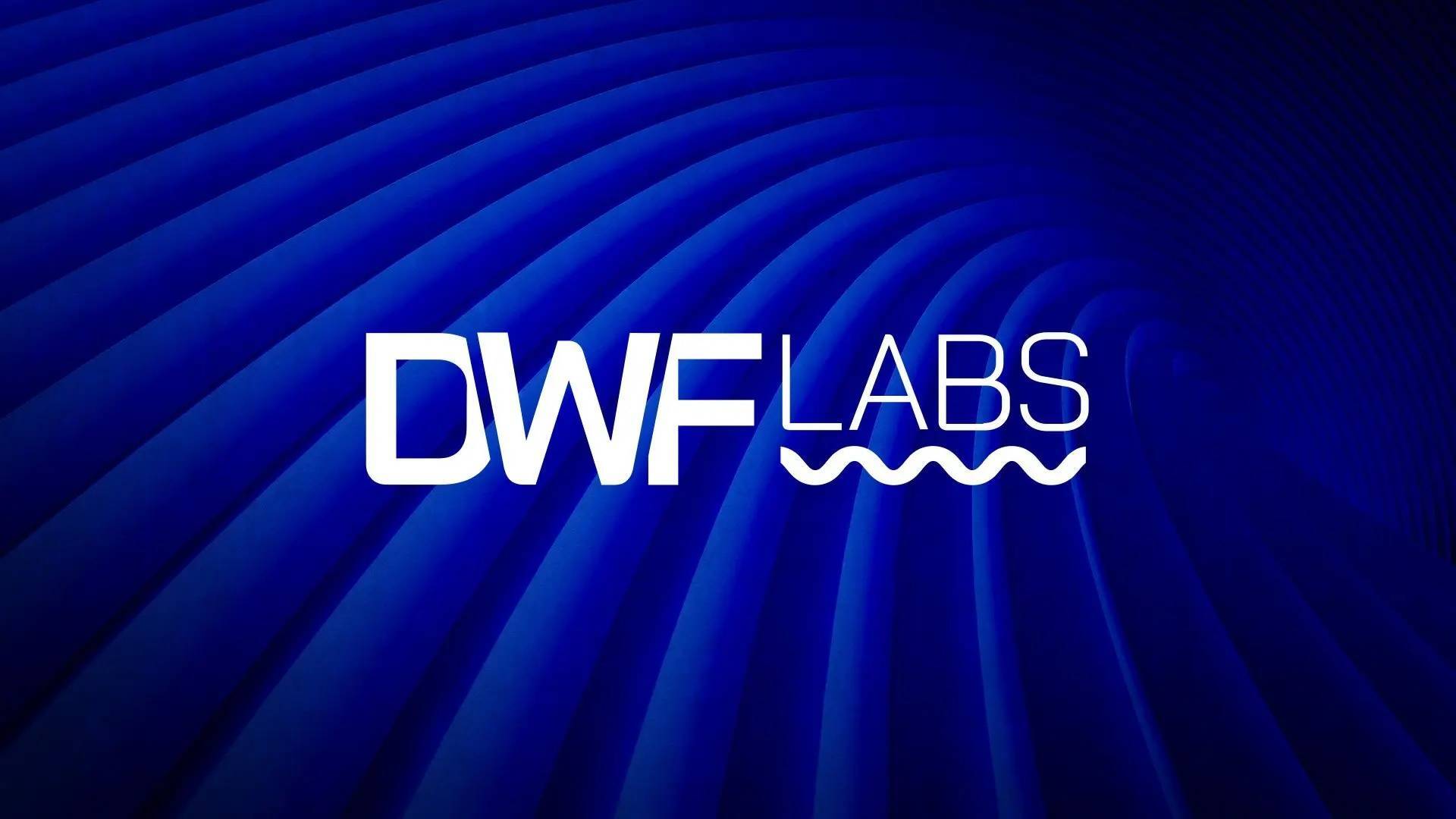 Dwf Labs Tuyên Bố Đang Phát Triển Stablecoin Riêng