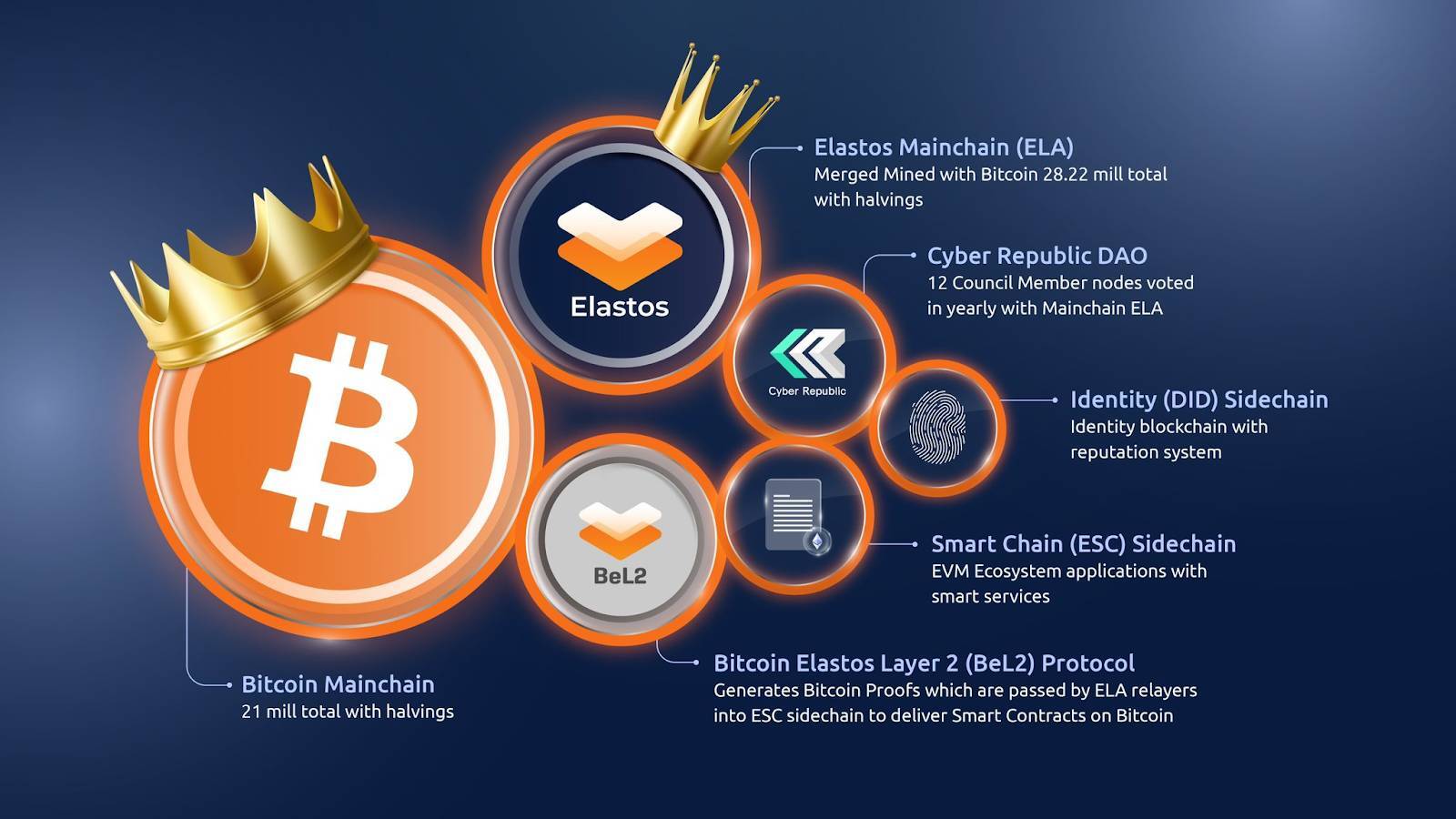 Elastos Là Gì Tìm Hiểu Về Bitcoin Layer 2 Hướng Đến Internet Phi Tập Trung