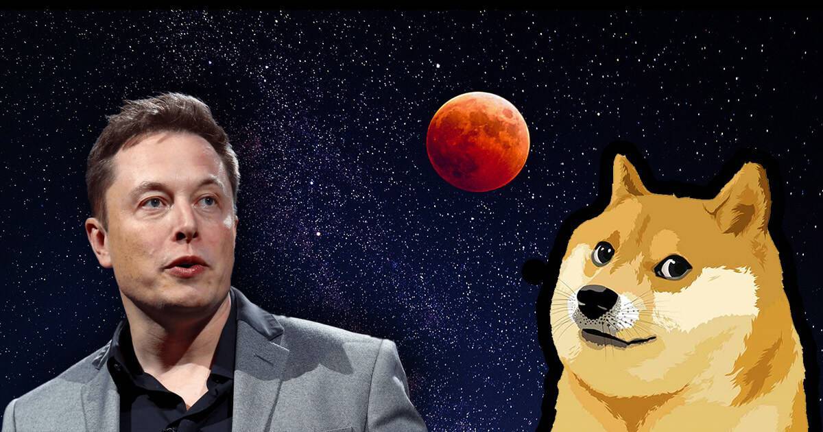 Elon Musk Lại Bị Kiện Tập Thể Vì Dogecoin