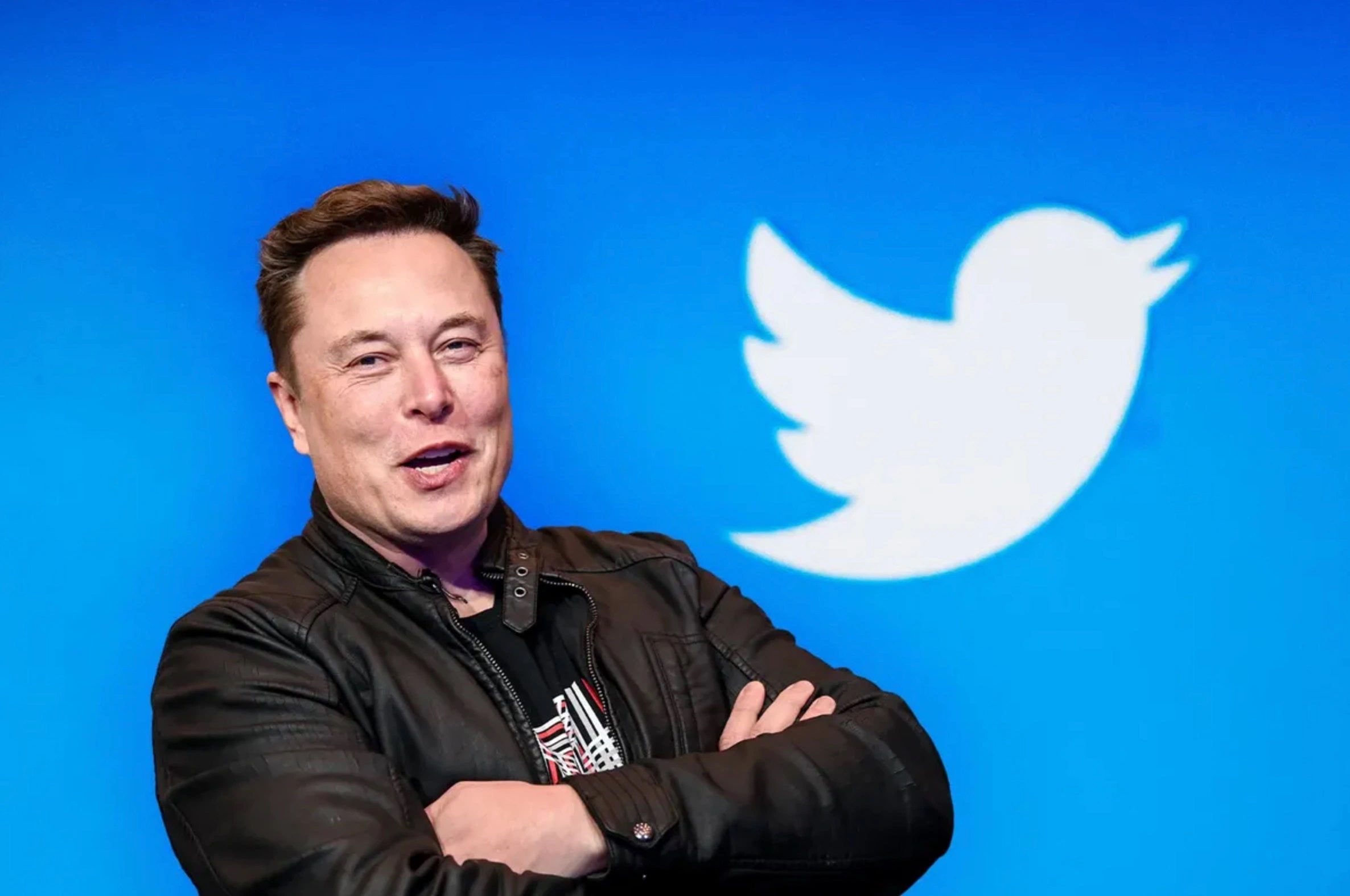 Elon Musk tạm Ngưng Thương Vụ Twitter Về Vấn Đề spam Bot