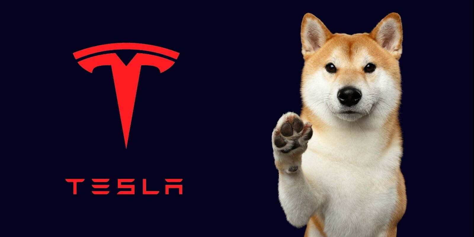 Elon Musk tuyên bố Tesla sẽ chấp nhận thanh toán bằng Dogecoin (DOGE) 