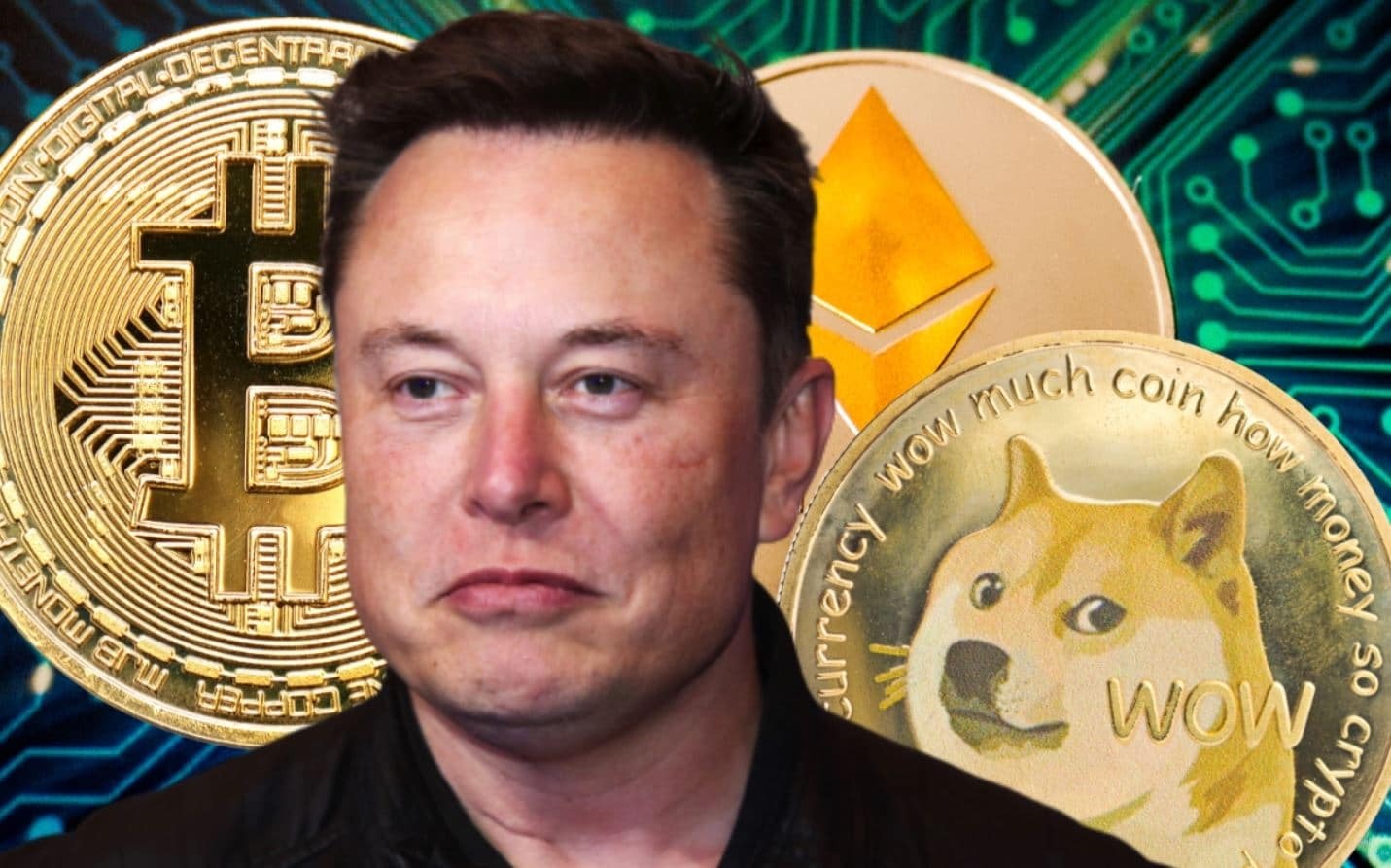 Elon Musk Vẫn Nắm Giữ Btc Eth Và Doge Để Đề Phòng Lạm Phát