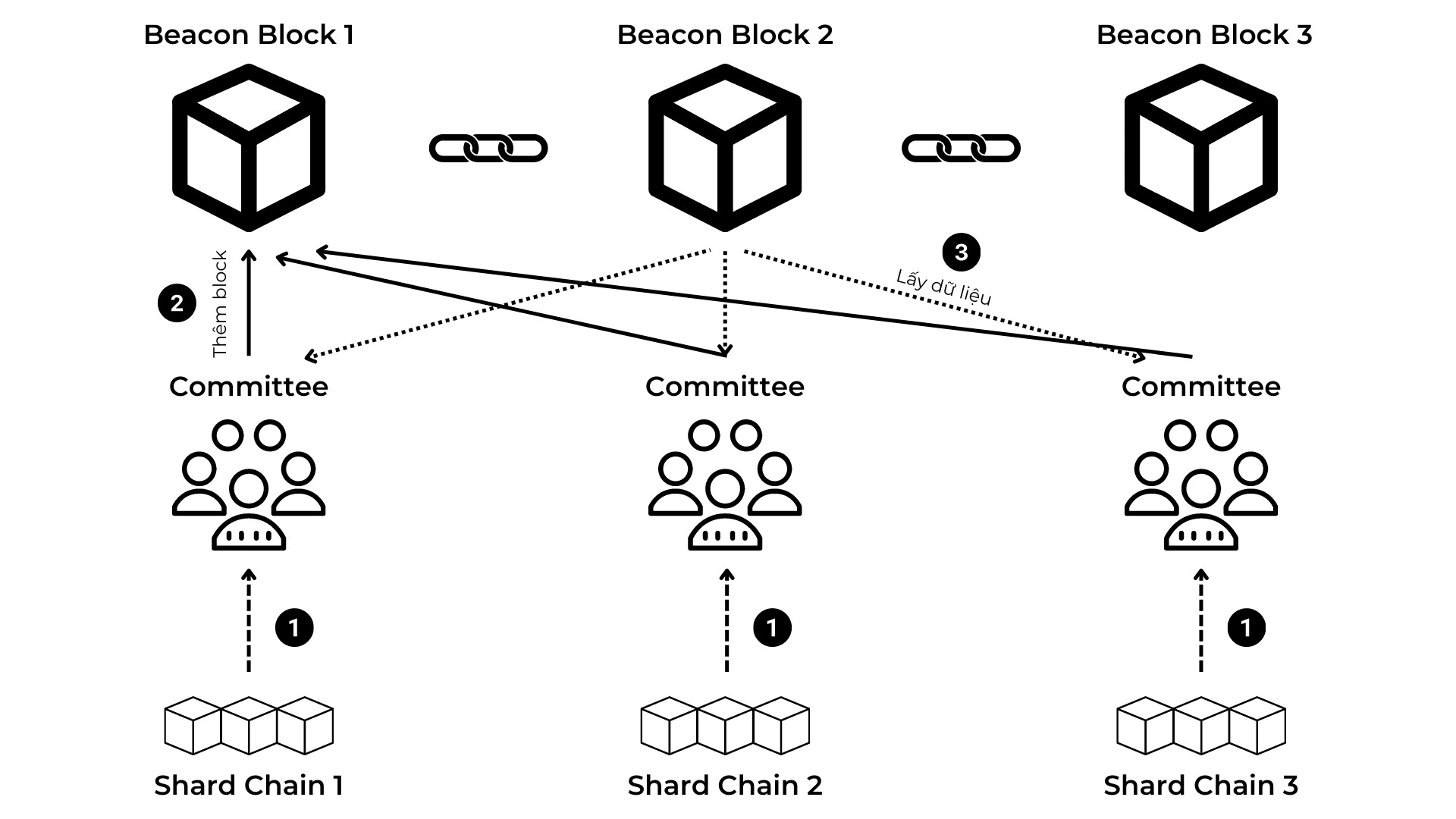 Giải Thích Về Sharding Và Danksharding