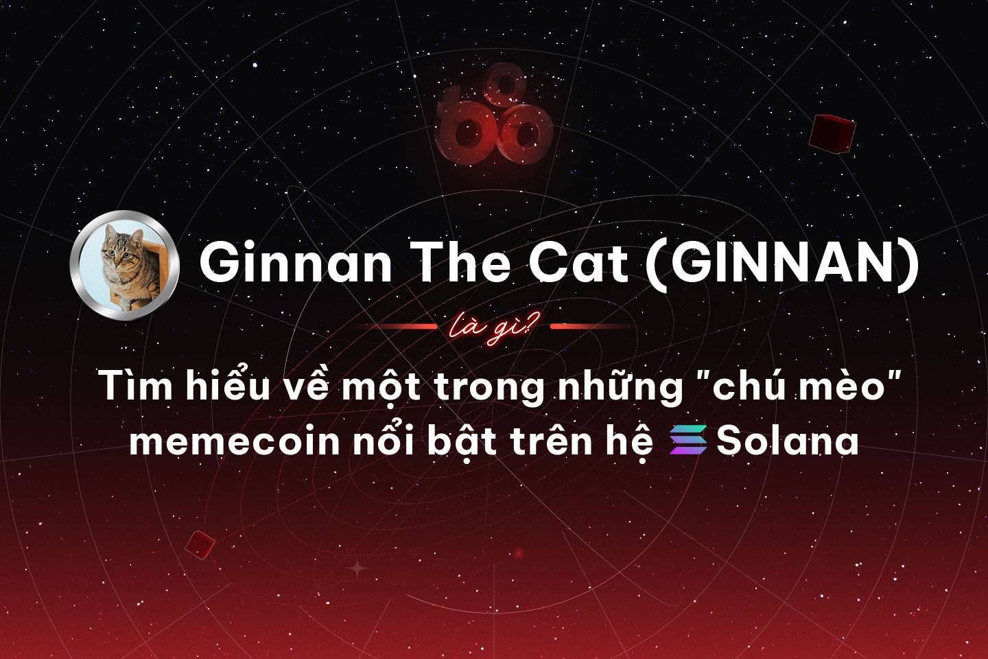 Ginnan The Cat ginnan Là Gì Tìm Hiểu Về Một Trong Những chú Mèo Memecoin Nổi Bật Trên Hệ Solana