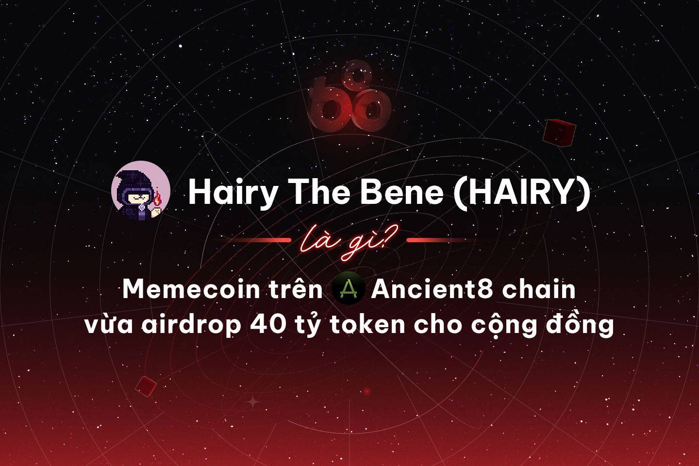 Hairy The Bene hairy Là Gì Memecoin Trên Ancient8 Chain Vừa Airdrop 40 Tỷ Token Cho Cộng Đồng