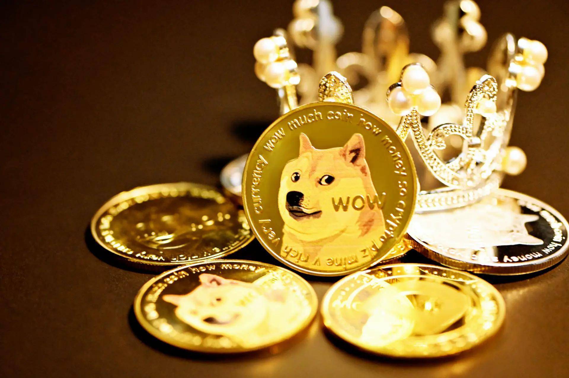 Lượng Giao Dịch Hàng Ngày Của Dogecoin Đạt Ath Nhờ Drc-20