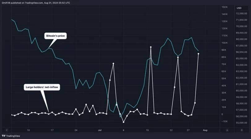 Mặc Thị Trường Bão Bùng tay To Vẫn Mua Thêm 54 Tỷ Usd Bitcoin Trong Tháng 7