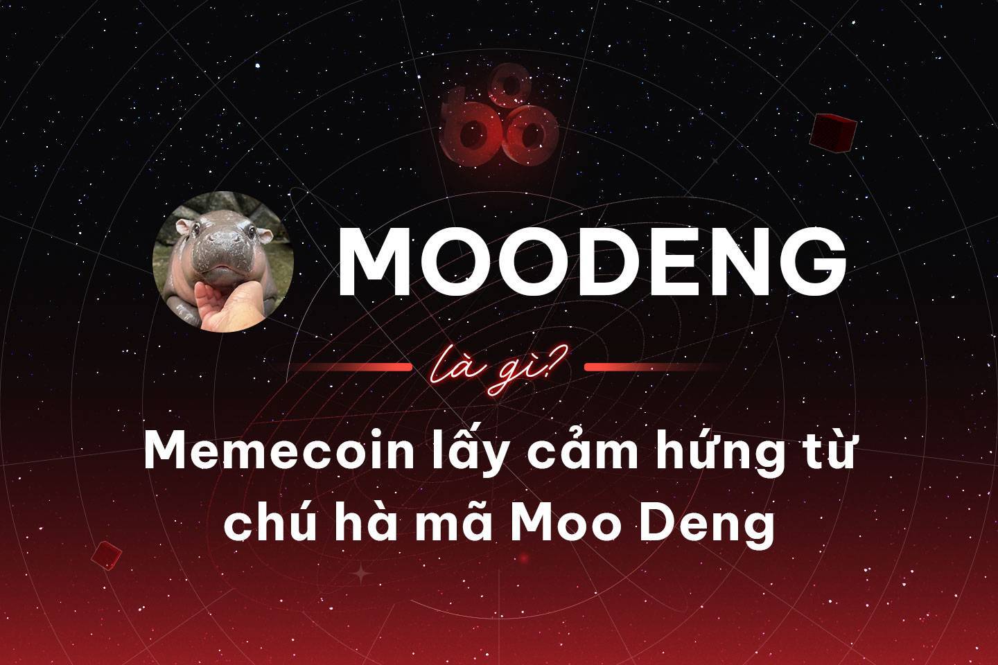 Moodeng Là Gì Memecoin Lấy Cảm Hứng Từ Chú Hà Mã Moo Deng