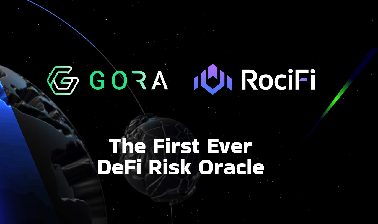 Gora và RociFi sáp nhập để giới thiệu DeFi Risk Oracle. Nguồn: Gora
