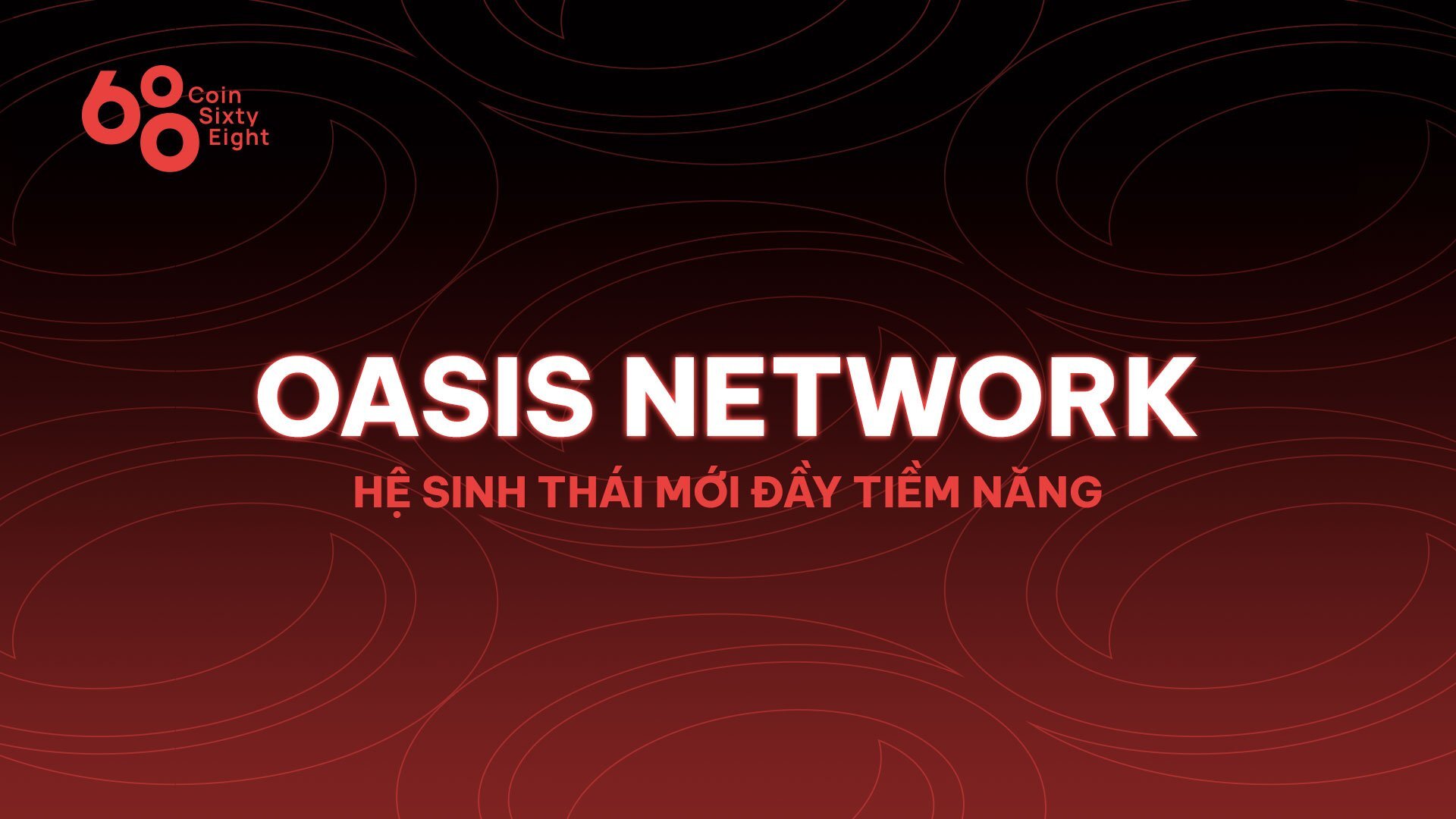Oasis Network rose  Hệ Sinh Thái Mới Nhưng Đầy Tiềm Năng Để Khám Phá