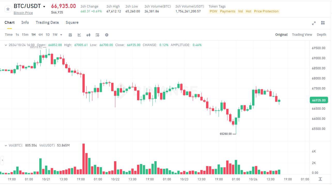 Số Ví cá Voi Bitcoin Đạt Mức Cao Kỷ Lục Kể Từ Tháng 012021