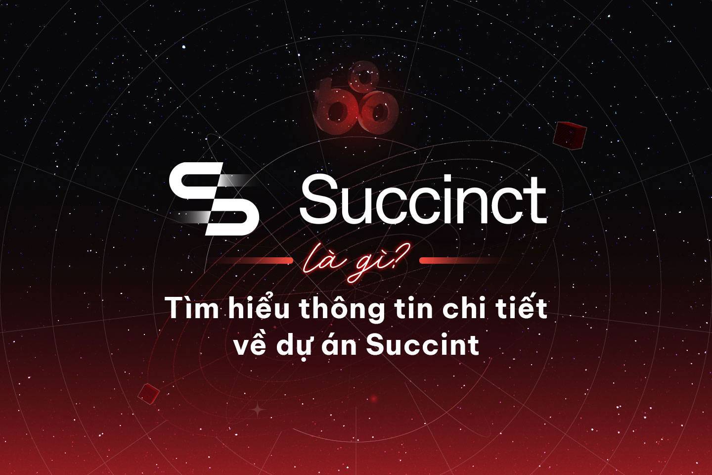 Succinct Là Gì Tìm Hiểu Thông Tin Chi Tiết Về Dự Án Succint