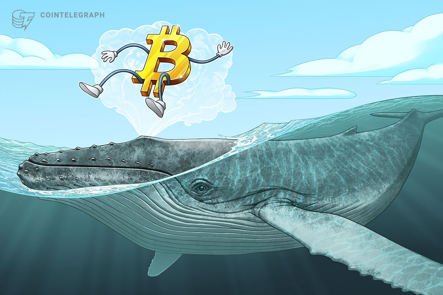 Sưu tập lớn Bitcoin Whale cho thấy Rallly Btc trước khi chia sẻ sẽ tiếp tục