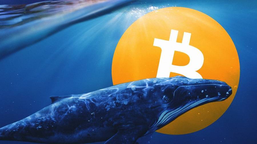 Thêm cá Voi Bitcoin Thức Giấc Sau 10 Năm Ngừng Hoạt Động