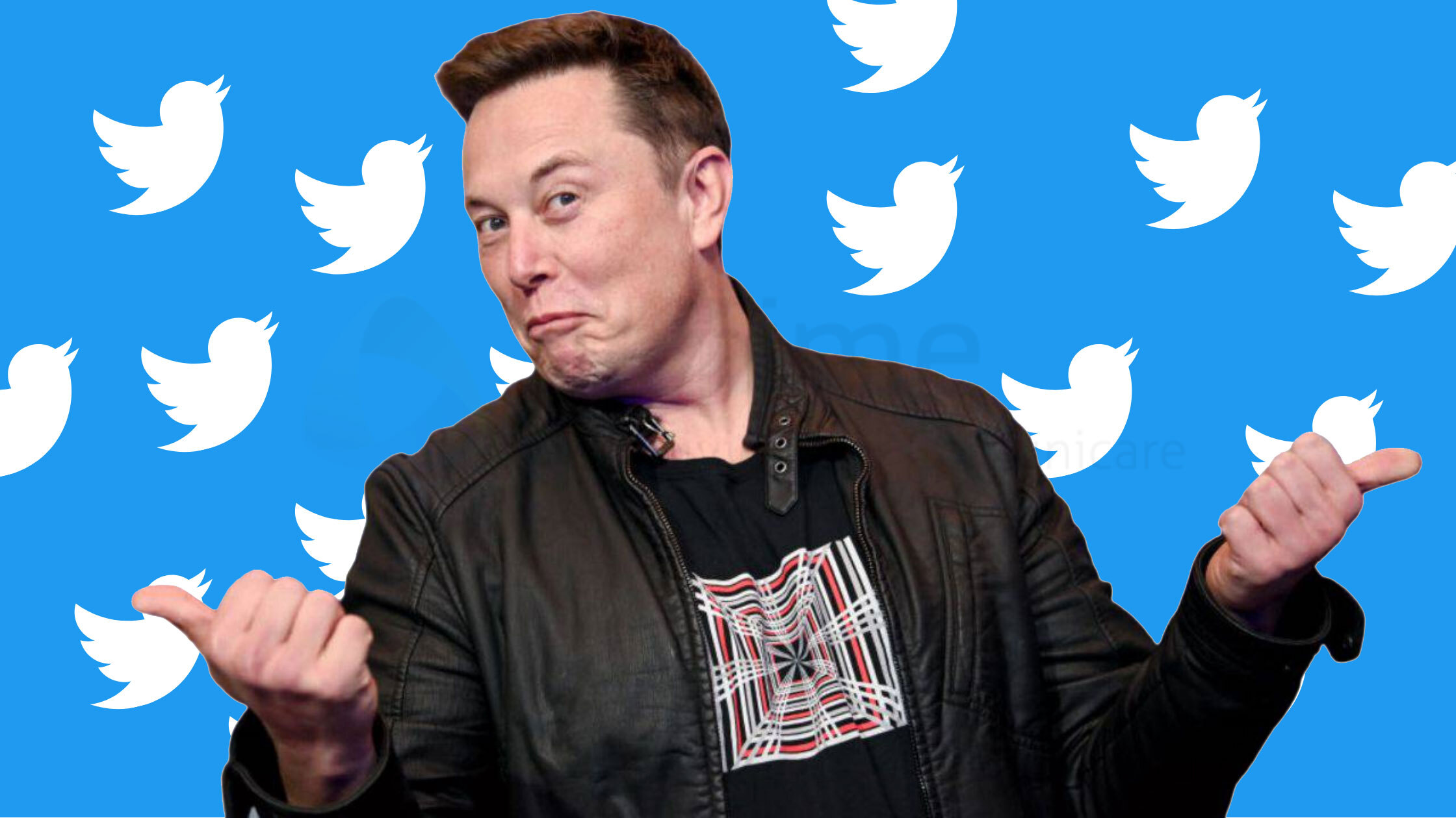 Thương Vụ Mua Lại Twitter Của Elon Musk Đã Được Các Cổ Đông Chấp Thuận