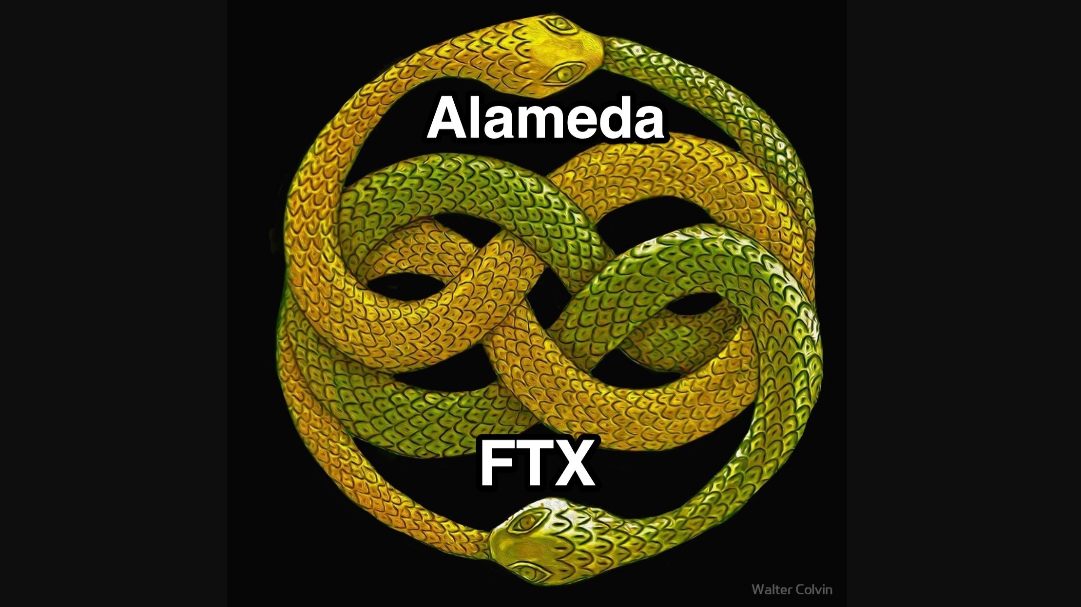 Toàn Cảnh Danh Mục Đầu Tư 54 Tỷ Usd Của Ftx Và Alameda Research