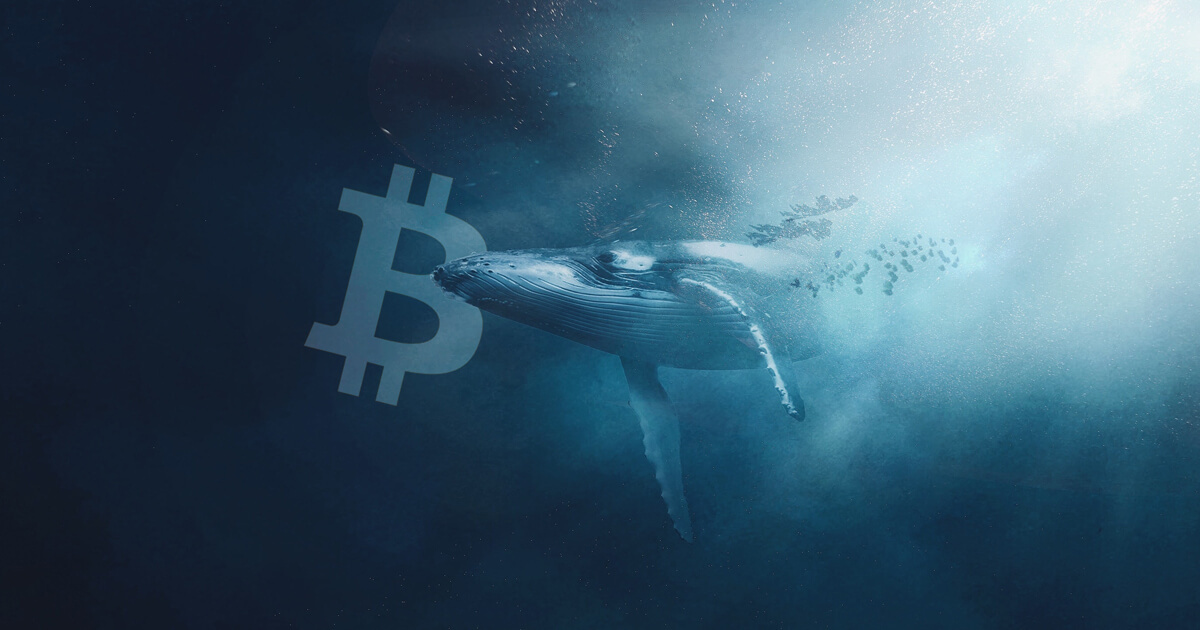 Tốc Độ Bán Tháo Bitcoin Của cá Voi Trong Tháng 112022 Lập Kỷ Lục Mới
