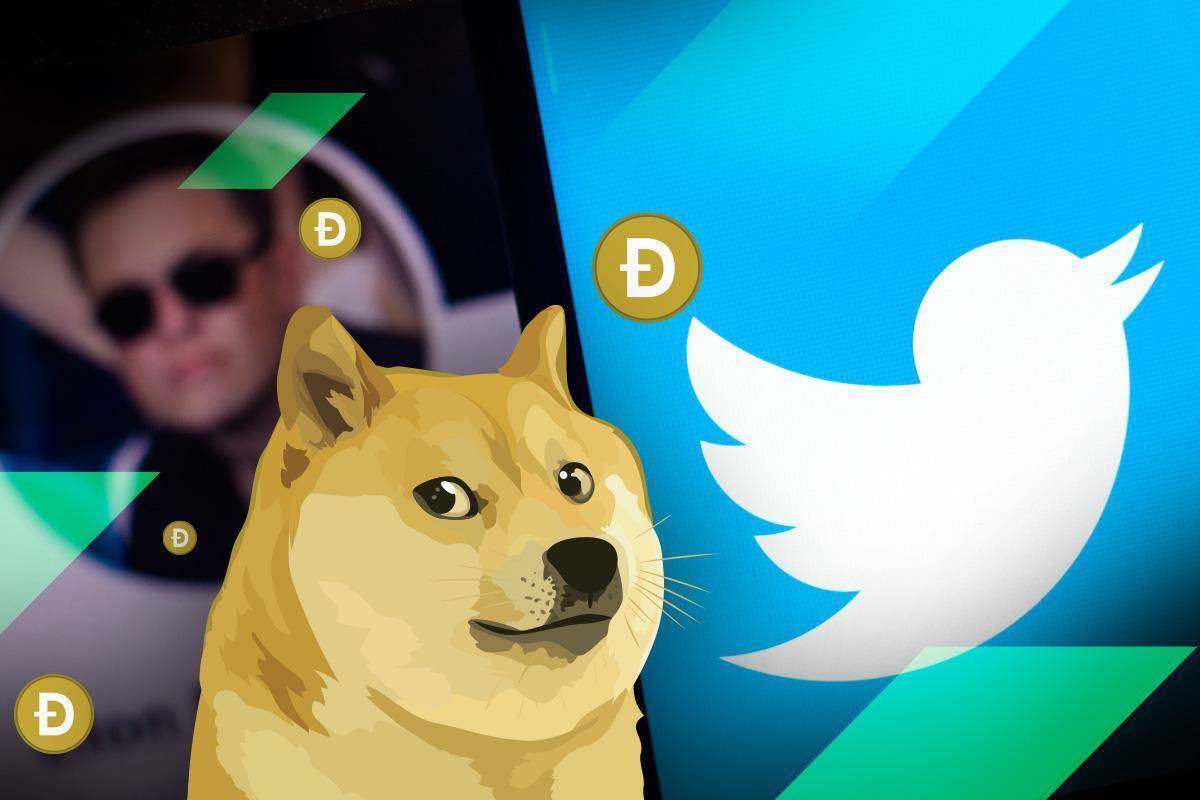 Twitter Đổi Logo Thành Dogecoin Giá Doge dựng Cột