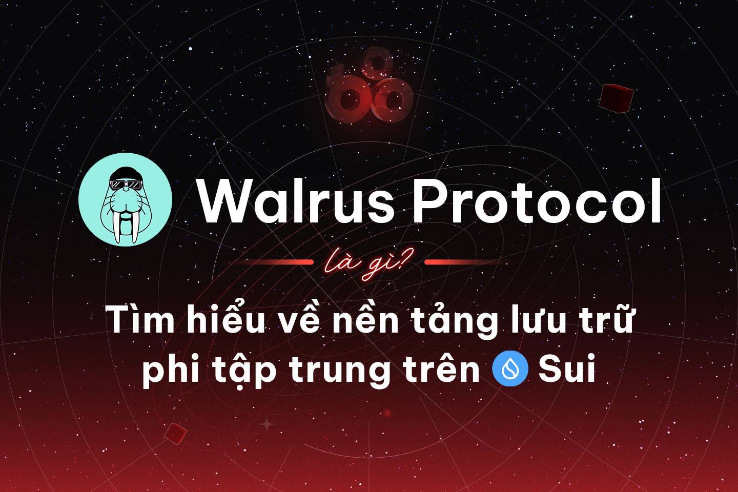 Walrus Protocol Là Gì Tìm Hiểu Về Giải Pháp Lưu Trữ Phi Tập Trung Trên Sui