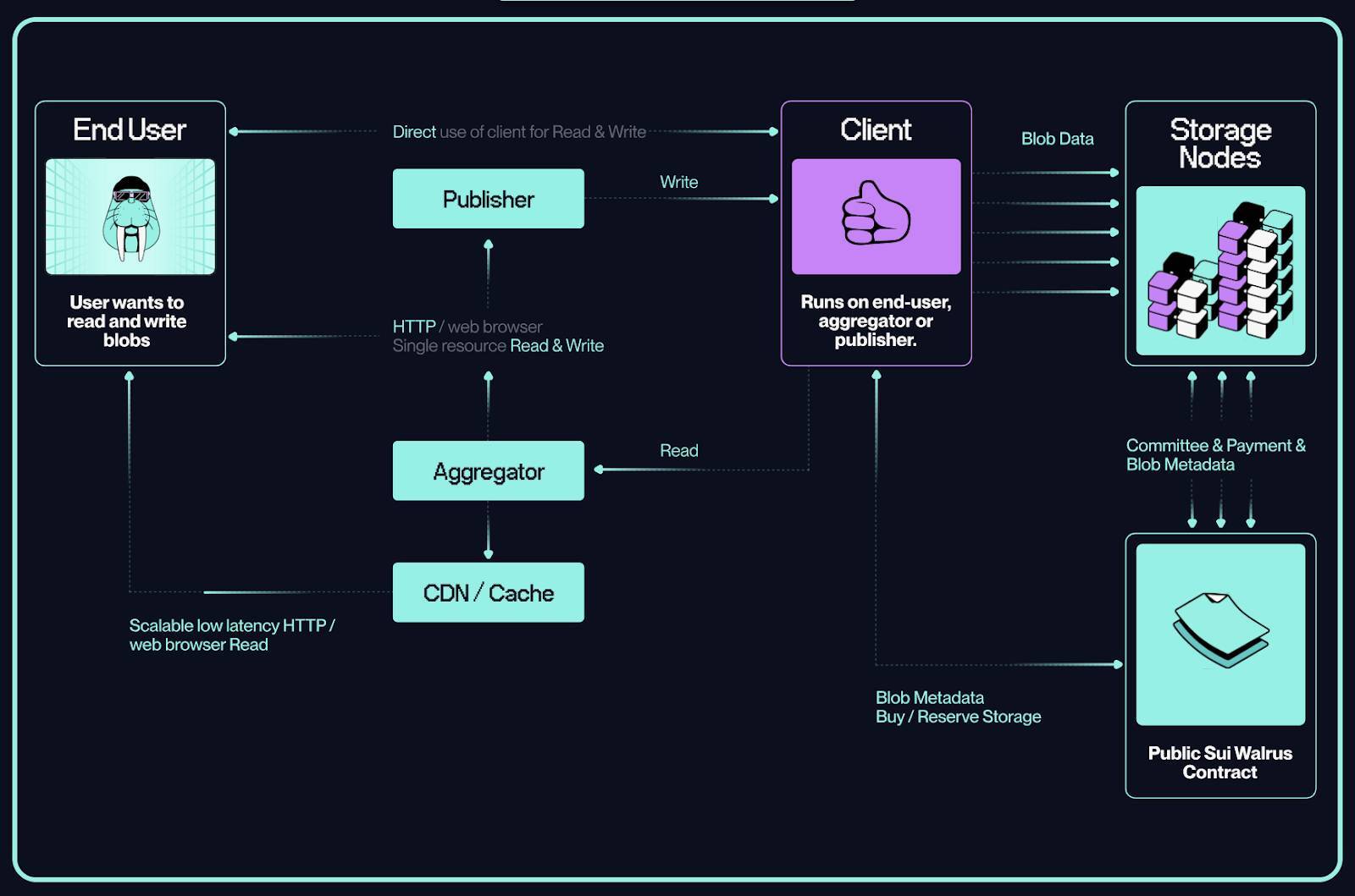 Walrus Protocol Là Gì Tìm Hiểu Về Giải Pháp Lưu Trữ Phi Tập Trung Trên Sui