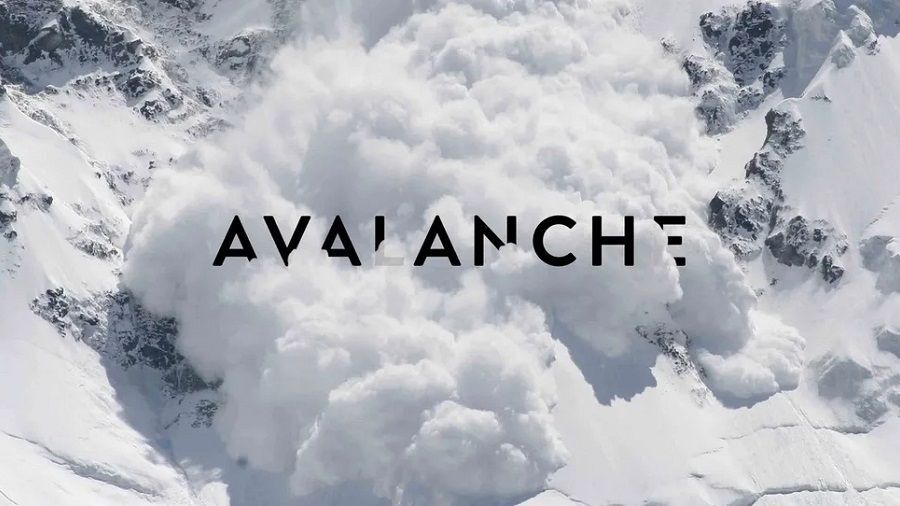 Xuất Hiện Lỗ Hổng Bảo Mật Có Thể Đánh Sập Mạng Lưới Avalanche avax
